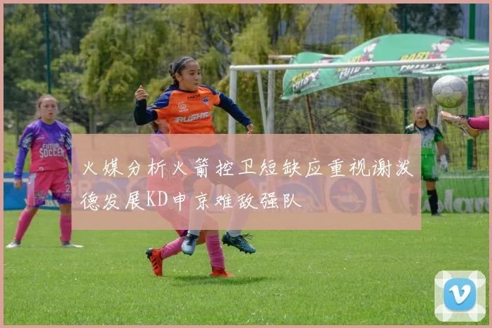火媒分析火箭控卫短缺应重视谢泼德发展KD申京难敌强队