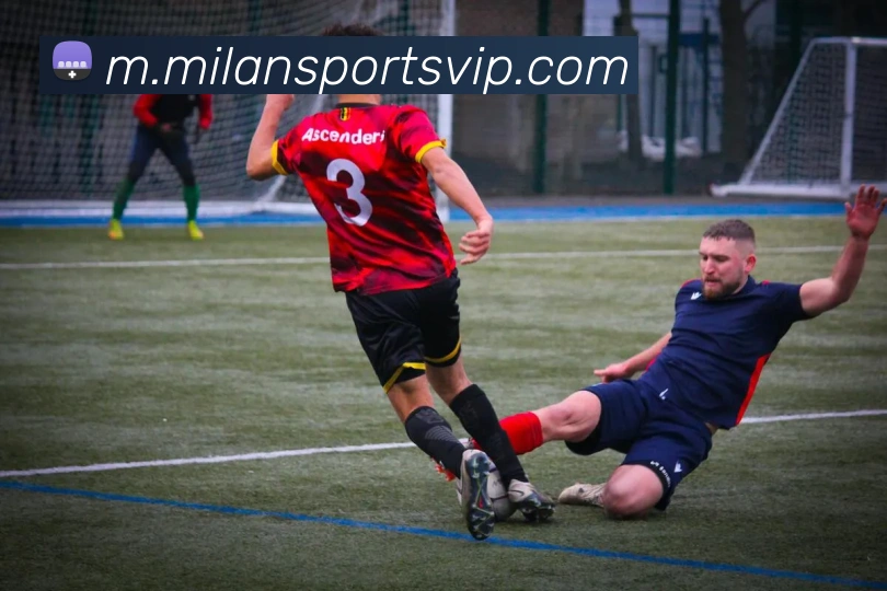 米兰体育平台生态图