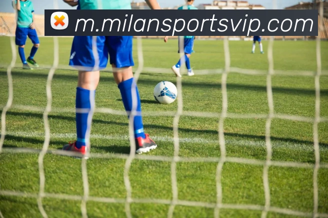 米兰体育APP 封面图